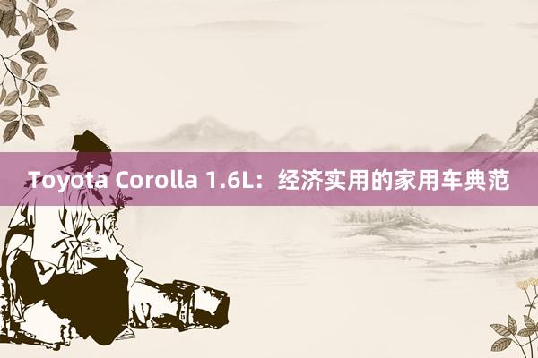 Toyota Corolla 1.6L：经济实用的家用车典范